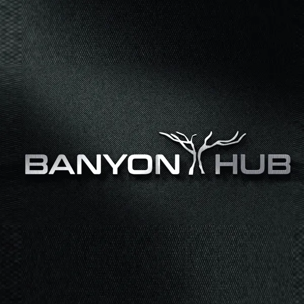 Banyan Hub logo — client of Chachir