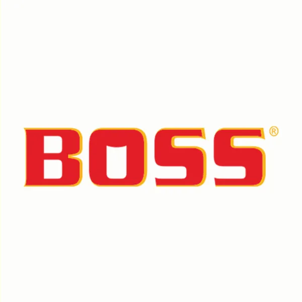 Boss logo — client of Chachir
